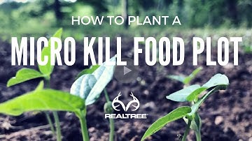 How to Plant a Micro Plot for Deer