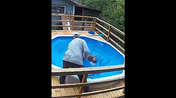 Boxer Dog Fall Into Pool Saved By Master Boxerdog Dogs Pools 