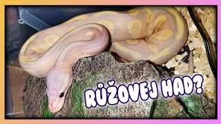 Za co utrácím? KRAJTY KRÁLOVSKÉ!!