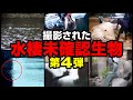 【映像】撮影された水棲未確認生物 第4弾