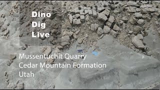 Dino Dig Live
Join us online for a live video chat from a dinosaur quarry! Paleontologists from NCMNS will be live from Utah searching rocks dating back to the Late Cretaceous around 96 million years ago.
Our live call will give you the chance to join the expedition, ask questions and interact with paleontologists in the field. Dino Dig Live