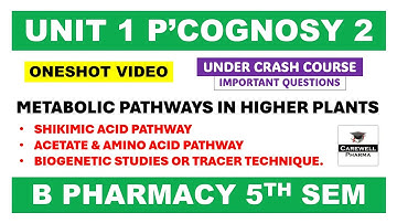 Unit 1 Pharmacognosy 5th semester | Oneshot | Pharmacognosy 2 | Carewell Pharma 