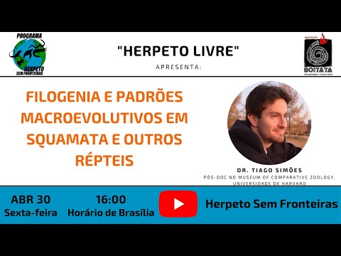 Vídeo: 230+ nomes de dragão barbudo para o seu réptil robusto