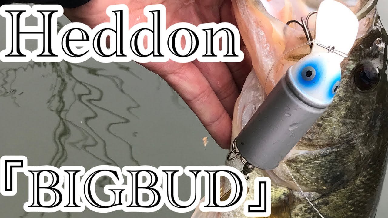 HEDDON 『BIGBUD』【水面奇術】#342 再放送 - YouTube