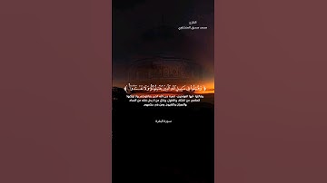 وقاتلوا في سبيل الله الذين يقاتلونكم ولا تعتدوا #سورة_البقرة #القارئ_محمد_صديق_المنشاوي #راحة_نفسية