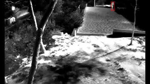 AVIGILON Video Analytics Thermal Camera