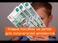 Новые пособия получателям алиментов на детей или почему россиянки начали массово обращаться в суд?