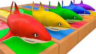 Baby Shark -  cute little kids Video - Nursery Rhymes | Fun Cartoons For Kids