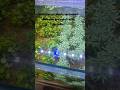 varieties of plants restocked wholesale and retail both available #breederspointnepal #aquarium