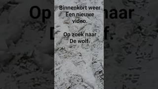 Winterwandeling Wolfheze, en 't Veluwe Zwerfpad.