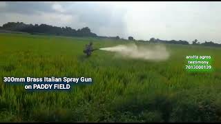 300mm Brass Italian Spray Gun on Paddy Field 📲 7013000139 by Anvita Agros TESTIMONIAL 2,524 views 1 year ago 49 seconds