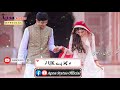 Dhol wafadara whatsapp status  zeeshan rokhri  post apna status official