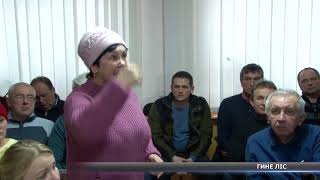 Скандал на Баранівці. В урочищі гине сосновий ліс Скандал на Баранівці. В урочищі гине сосновий ліс