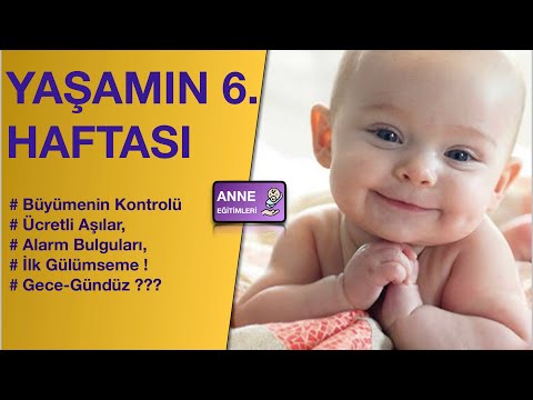 YAŞAMIN ALTINCI HAFTASI (Büyüme Kontrolü, Ücretli Aşılar, Alarm bulguları...)