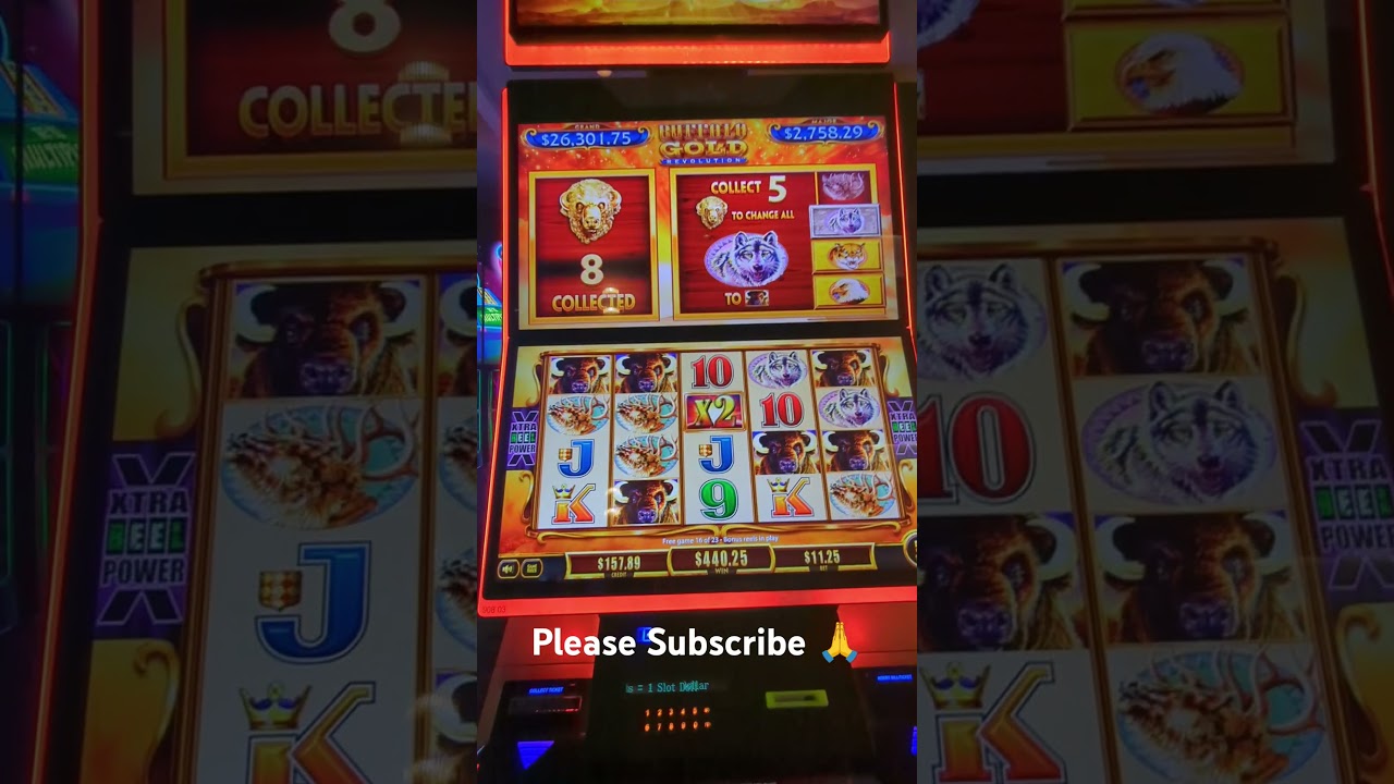 Buffalo Gold Revolution 🦬🦬 HUGE Win 