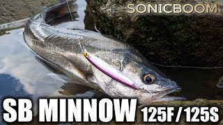 【ハードコア ソニックブーム】河川のシーバス・サーフ・磯に対応する新スタンダードミノー SBミノー125 F/Sが登場!! (1533)