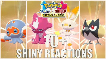 Pokemon Sword & Shield 10+ SHINY POKEMON REACTIONS MONTAGE
