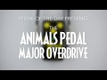 Animals pedal major overdrive