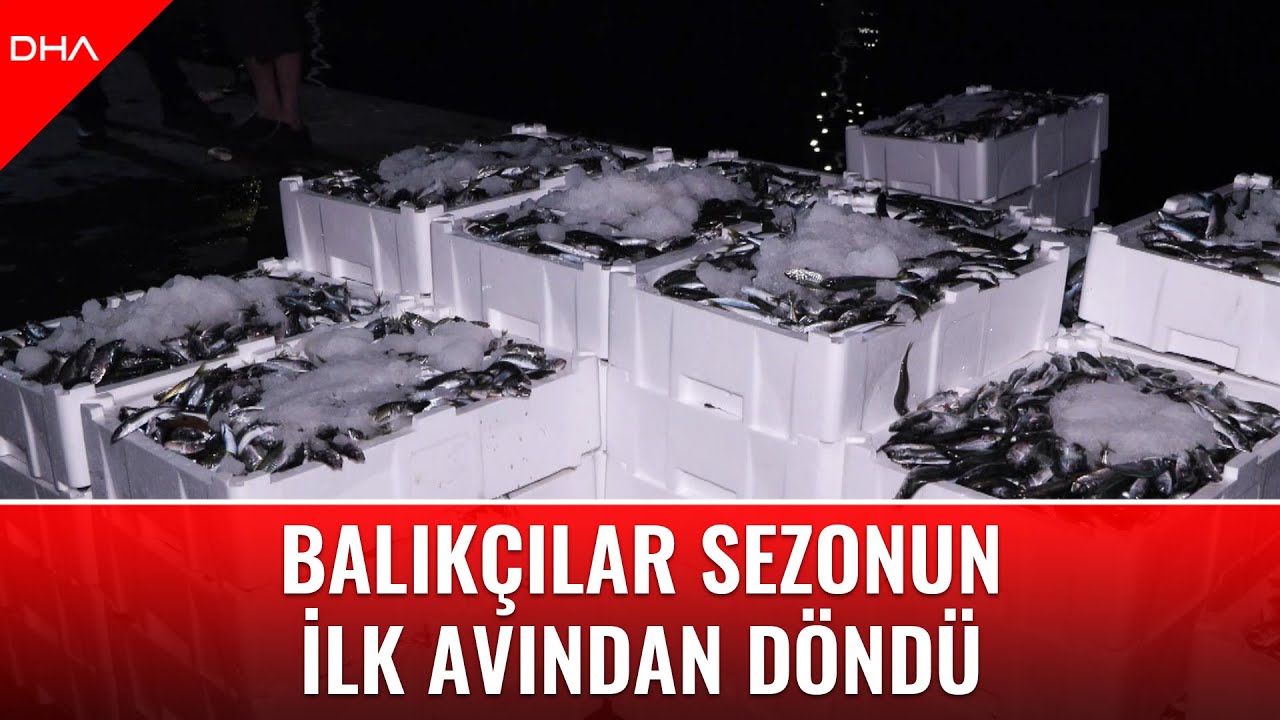 Balıkçılar sezonun ilk avından döndü: 'İstavrit şu anda bol. Hamsiden bir umut yok'