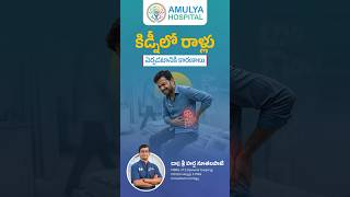 Causes of Kidney Stones? | Dr.Sree Harsha Nutalapati | Amulya hospital