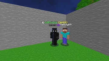 How to get an NPC in minecraft (hypixel housing)