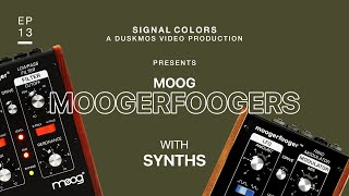 Moog MF-101 and MF-102 Moogerfooger Demo w/ Analog Drum Synth (Elektron Analog RYTM MKII)