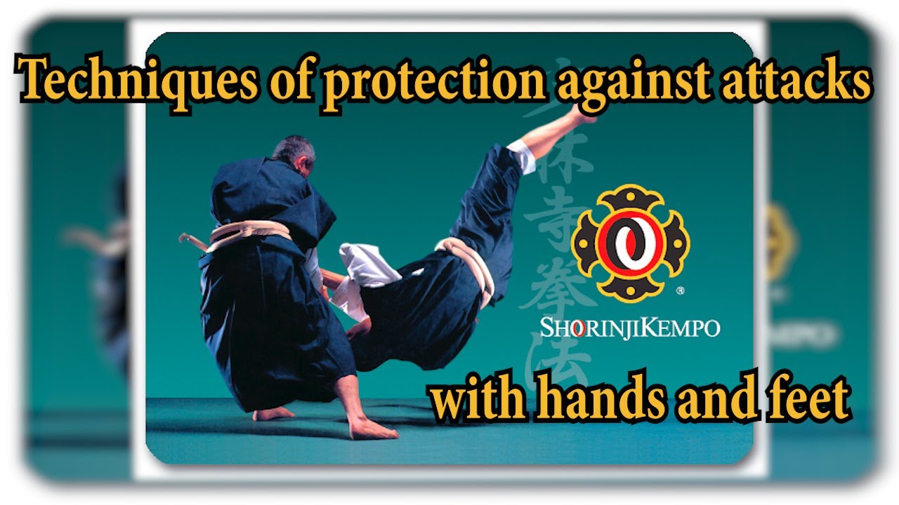 Приемы защиты Сёриндзи Кэмпо от атак руками и ногами (Гохо). Сэнсэй Араи.