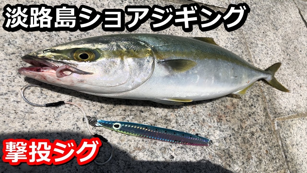 淡路島ショアジギング 撃投ジグで青物 ハマチ爆釣 Youtube
