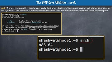 Linux Commands Unveiled: #date, #uname, #hostname, #hostid, #arch, #nproc