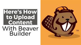 Here's How to Upload e-Learning Content With Beaver Builder in WordPress