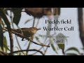 Paddyfield Warbler Call With Spectrogram Bengali Name а а а а џа їа а а ѕ а а ѕ а а ѕа Ёа а Ѓа џа а ї Bird Song 6 Type 2 Paddyfield Warbler Call With Spectrogram Bengali Name а а а а џа їа а а ѕ а а ѕ а а ѕа Ёа а Ѓа џа а ї Bird Song 6 Type 2