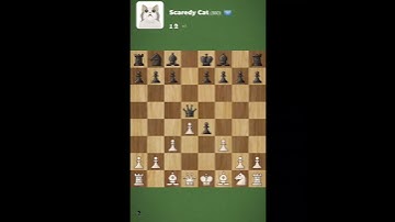 Beating Scaredy cat is so easy #chess #chesscom #magnuscarlsen #chessbaseindia