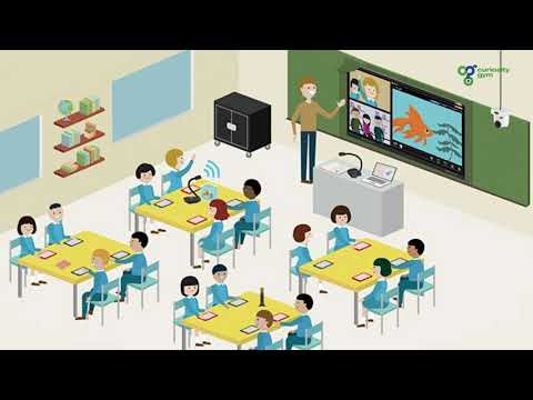 IoT & Smart Gadgets