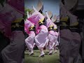 【阿波踊り2026】脇町うだつの町並み　阿波踊り　第二回 脇町うだつレトロマーケット