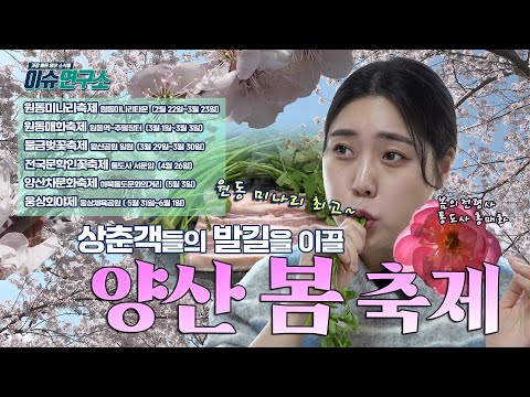 2025년 이슈연구소 봄의 축제