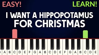 I Want A Hippopotamus For Christmas - Gayla Peevey | EASY Piano Tutorial
