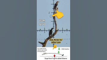 Real World Projectile Trajectory #fxairguns