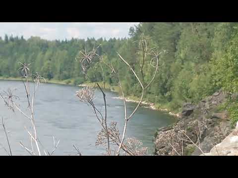 Video: Biya (river): description. Mountain Altai