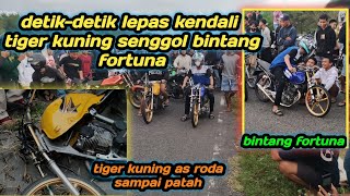 DETIK-DETIK TIGER KUNING SENGGOL TIGER BINTANG FORTUNA#landasanpacudepok #GalangRizky27