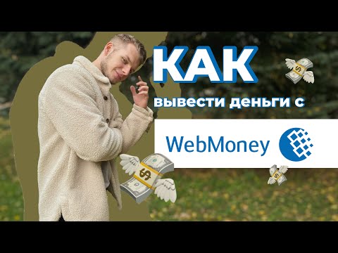 КАК ВЫВЕСТИ ДЕНЬГИ С ВЕБМАНИ? ДИЗ НА ТЕХНОДМИТРИЯ