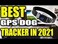 TOP 5: Best GPS Dog Tracker in 2022