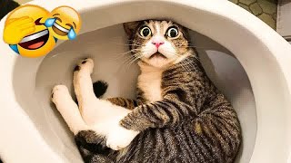 🐕🐱 Funniest Dogs and Cats 😻😂 Funny Animal Moments #9