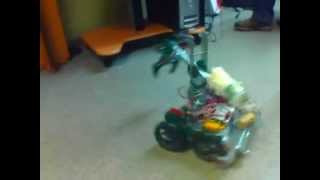 ROT Bot Test 1