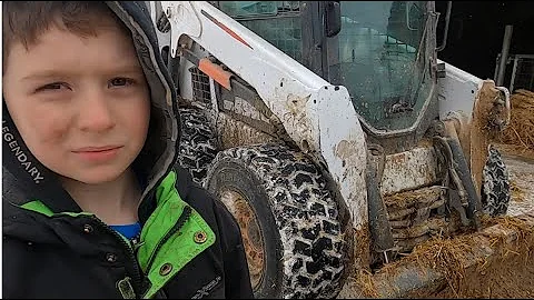 7 Year Old farm boy cleaning out the calf barn with a Bobcat skidsteer