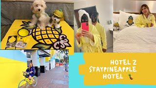 CUTEST HOTEL IN SAN DIEGO 🍍 | PET FRIENDLY