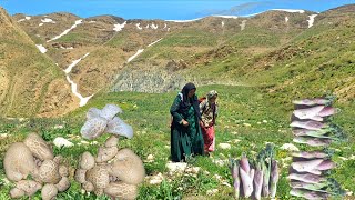 🏔️ Nomadic Woman’s Adventure in the Wild Zagros Mountains | Searching for Wild Mushrooms &amp; Herbs 🍄🌿