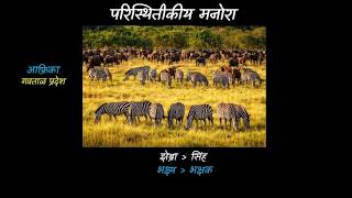 Ecological Pyramids 1 [Marathi] | Energy Flow in an Ecosystem | Class 9 | Science | Khan Academy