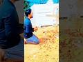 Humansagar ଜାଗା ରେ ଆଉ ଜଣେ Humansagar🥺🙏🙏 #humansagar #rip #shorts #viral