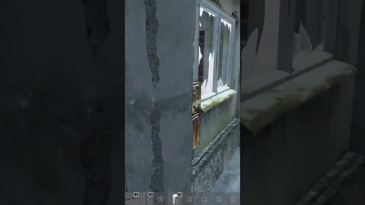 WALL GLITCH KILL #dayz #benfruit #gaming