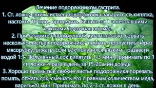 Как лечить гастрит народными средствами и способами Как лечить гастрит народными средствами и способами